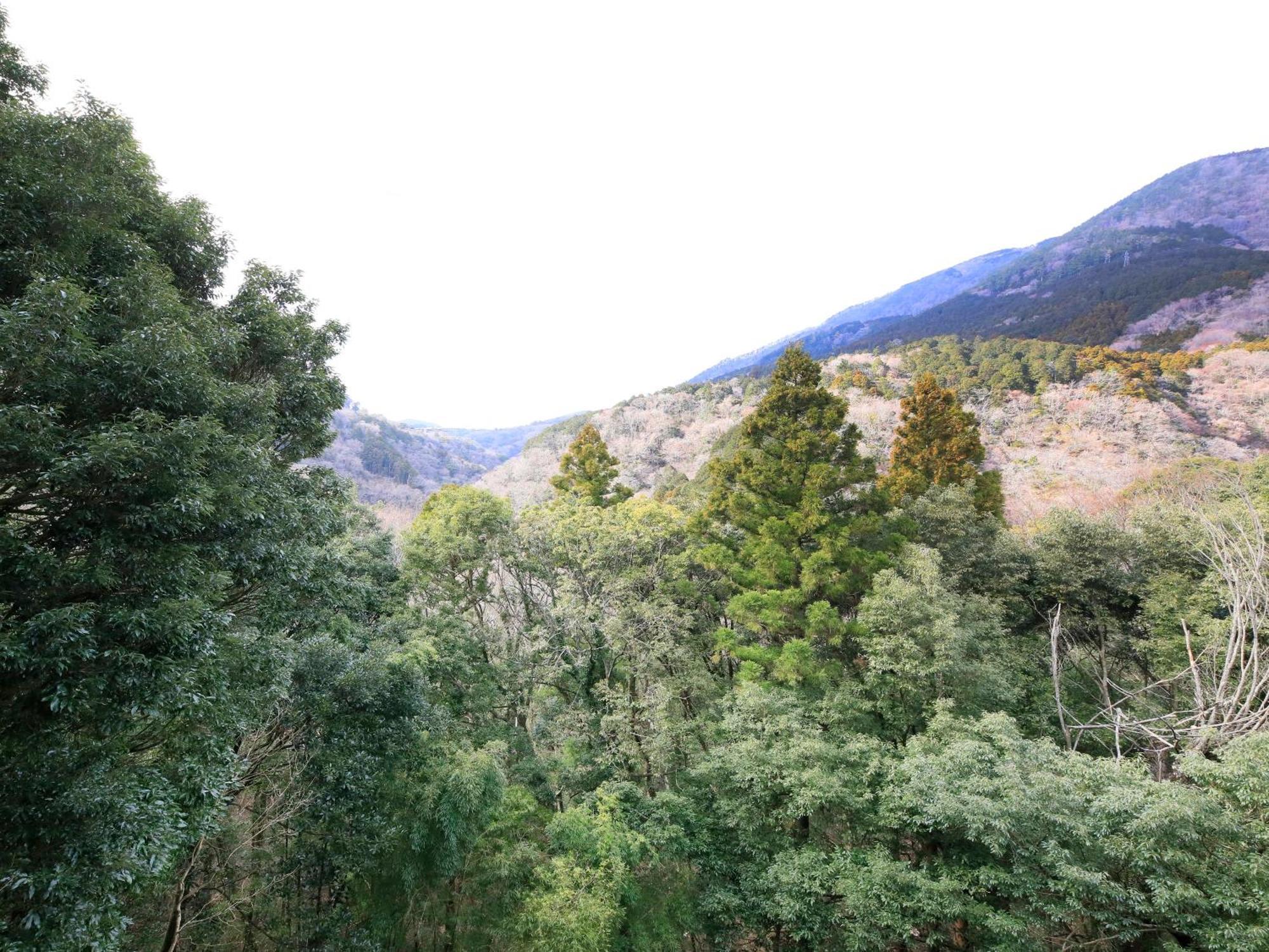 Hot Spring Inn Hakone Suisen Zewnętrze zdjęcie