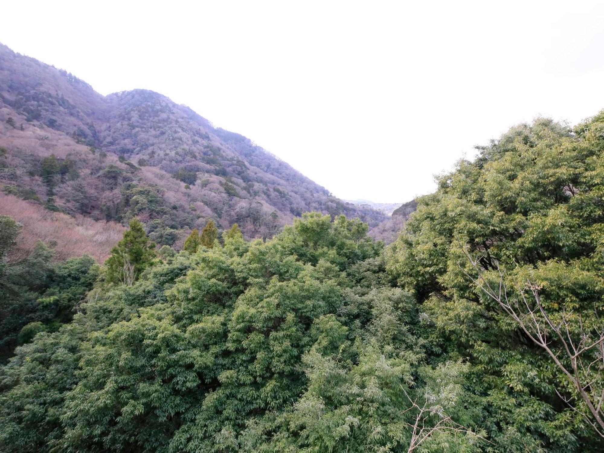 Hot Spring Inn Hakone Suisen Zewnętrze zdjęcie